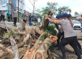 Bahayakan Pengguna Jalan Brimob Bone Respon Cepat  Tebang 4 Pohon Lapuk