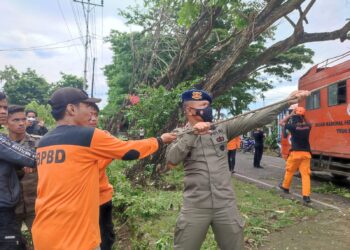 SAR Brimob Bone Bersinergi Dengan SAR Gabungan Evakuasi Truk Tertimpa Pohon