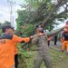 SAR Brimob Bone Bersinergi Dengan SAR Gabungan Evakuasi Truk Tertimpa Pohon