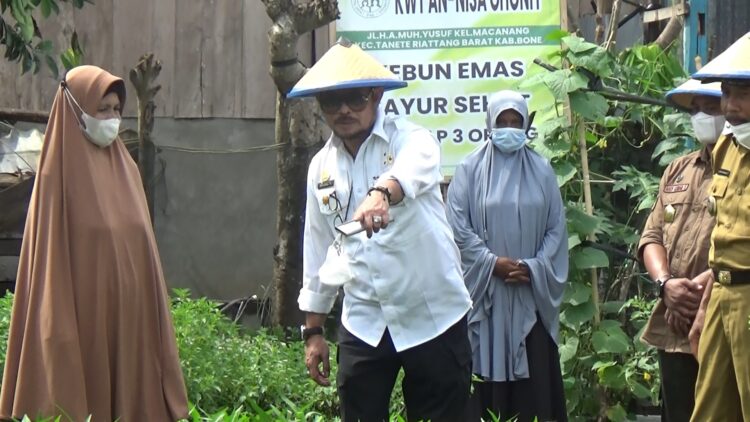 Berkunjung ke Bone Mentan RI Ajak Warga Manfaatkan Lahan Pekarangan Rumah