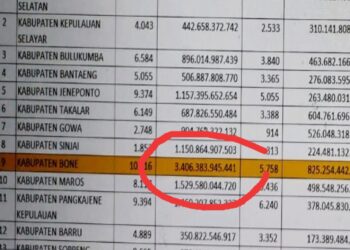 Rilis Data RUP PBN Bone Salah, Inputannya Dobel – Dobel