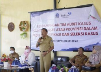 Wakil Bupati Bone Hadiri Pendampingan Tim Audit Kasus Stunting