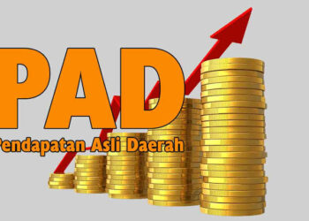 Ini Penjelasan Bapenda Bone Terkait Peningkatan PAD TA 2024