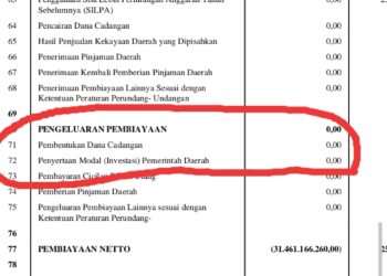 Tidak Patuhi Perda, Pemkab Bone Diduga Salah Gunakan Dana Cadangan Pilkada