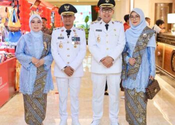 Sambut Bupati Baru, Pengamat Bone Ini Harap Maksimalkan Potensi Akses Di Pusat