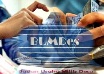 Klarifikasi Camat Mare Bone Soal BUMDes Bermasalah