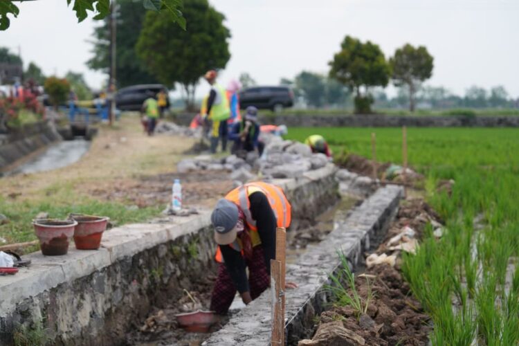 Proyek Inpres Oplah Irigasi Di Sulsel Bermasalah, Vendor Keluhkan Pembayaran Hasil Pekerjaan