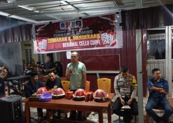 Peringati HUT RI 81, Kelurahan Cellu Bone Gelar Turnamen Domino Beramal Cup
